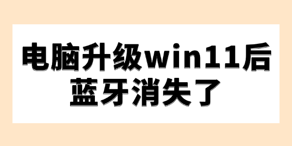 电脑升级win11后蓝牙消失了